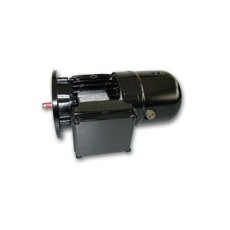 HEW磁阻電動機F 熱 緣系統(tǒng)