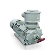 NIDEC CHINA防爆電機