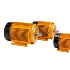 SCHMITT交流電機(jī)