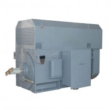 AC Motoren 中高壓電機系列