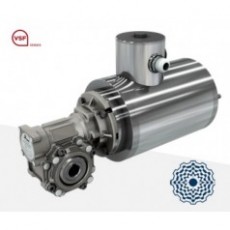 意大利MOTOVARIO 蝸輪蝸桿減速機(jī)VSF系列