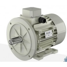 MOTOVARIO 自啟動(dòng)同步電機(jī)SELF POWER系列