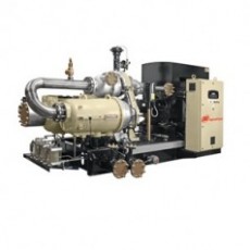 Ingersoll Rand 離心機(jī)PET系列