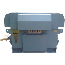 TECO 半密型WPI 馬達系列