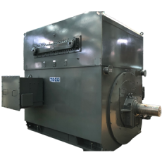TECO 全密型水冷式馬達(TEWAC)系列