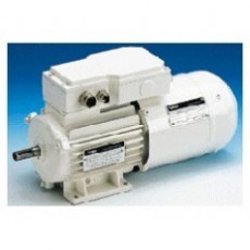 LENZE 三相交流電機(jī)系列
