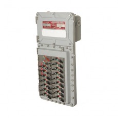 Appleton 工廠密封斷路器配電板D2P 和 EWP系列